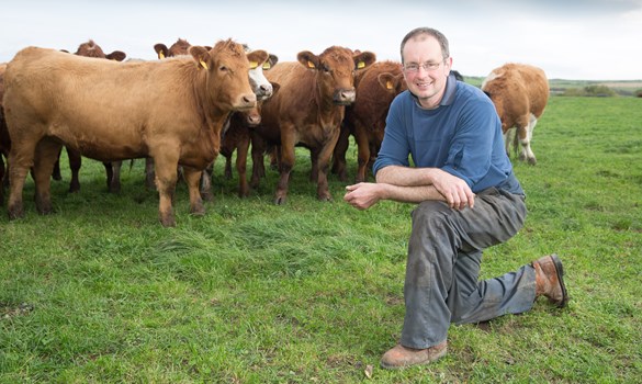 a man kneeling in front of a group of cows